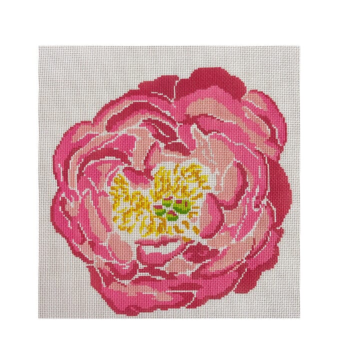 Pink Peony Large