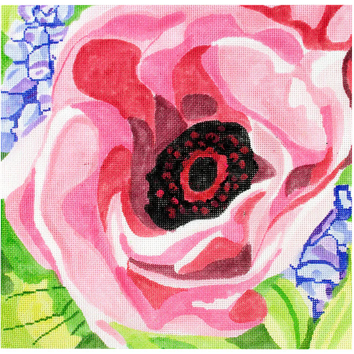 Pink Poppy & Hyacinths