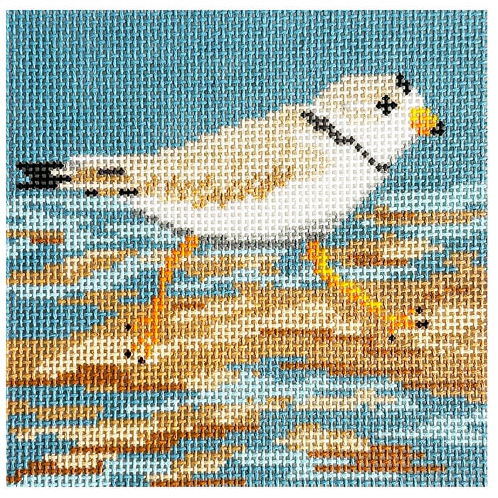 Piping Plover Coaster