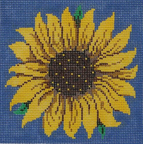 Sunflower on Blue