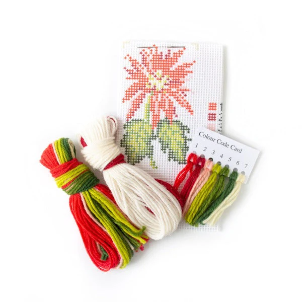 Poinsettia Starter Kit - Image 2