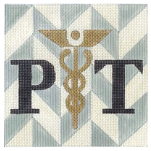 PT - Physical Therapist 5x5