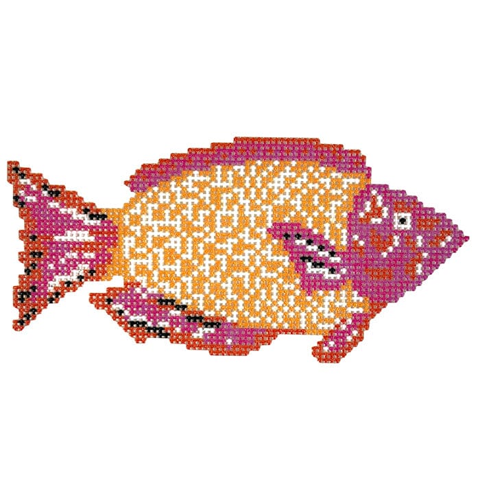 Purple and Orange Parrotfish