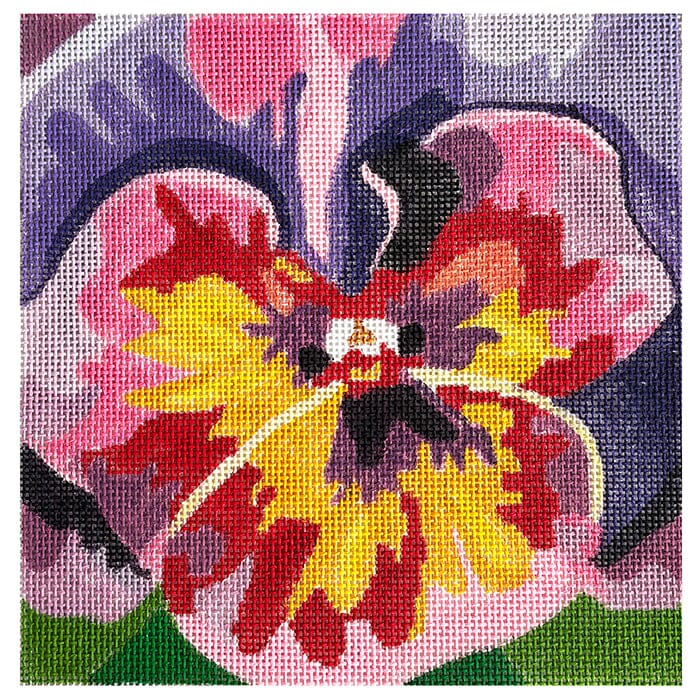 Purple & Pink Pansy 8"