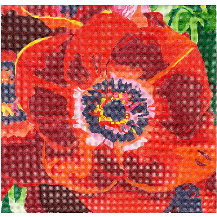 Red Anemones