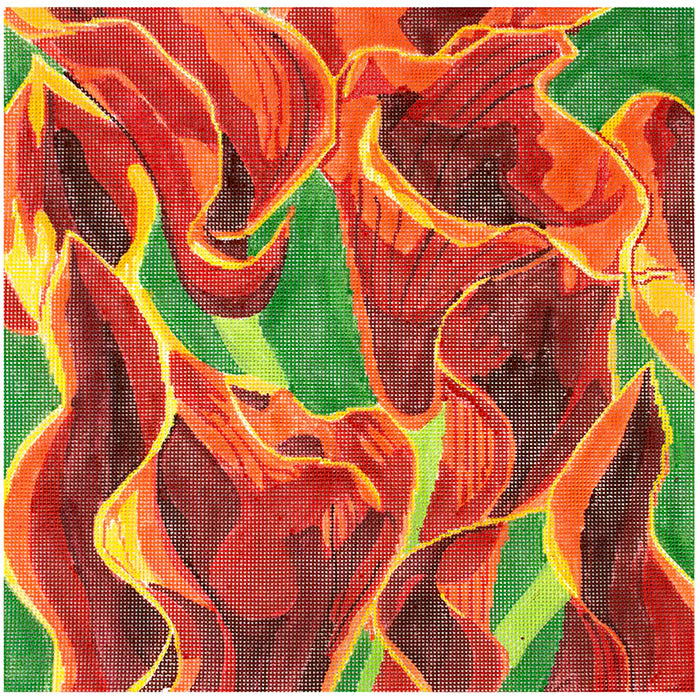 Red Callalily