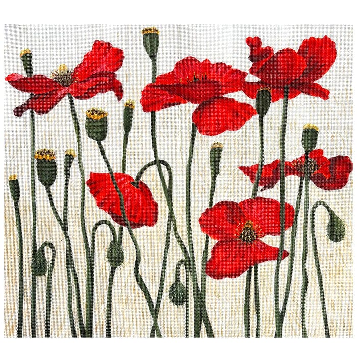 Red Poppies on 13