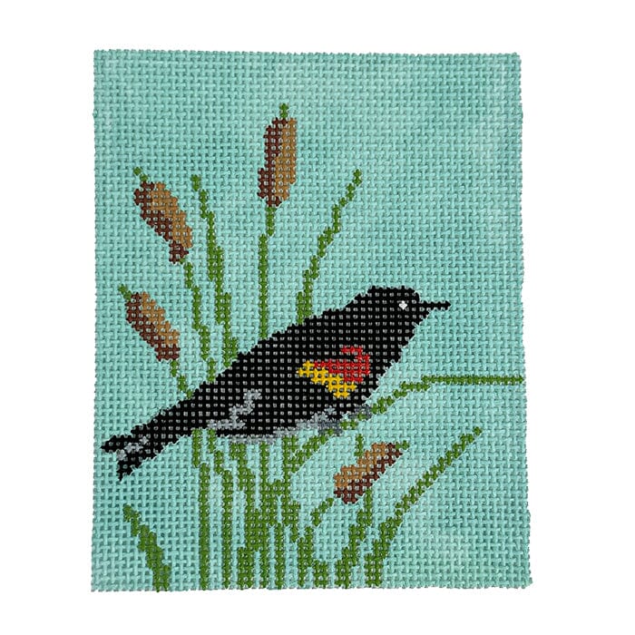Red-winged Blackbird Square