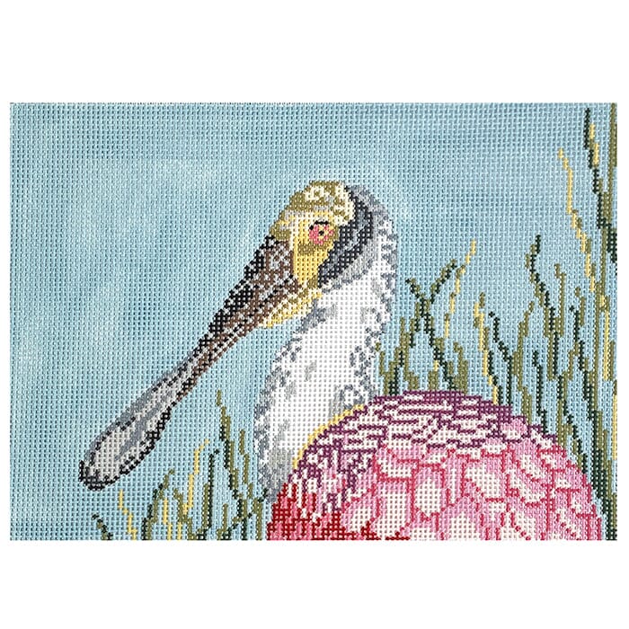 Roseate Spoonbill Head on 18