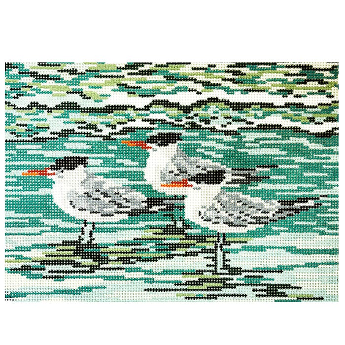 Royal Terns on 18