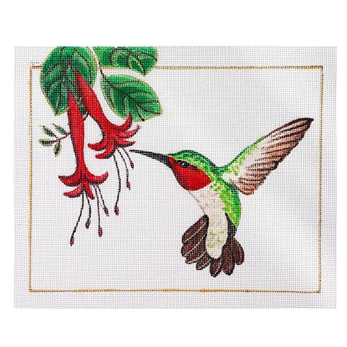 Ruby Throated Hummingbird with Border