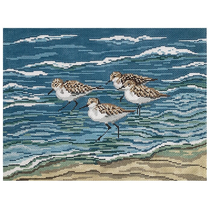 Sanderlings in the Surf on 13