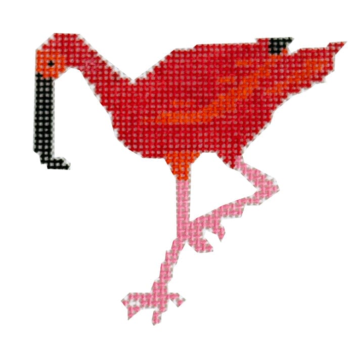 Scarlet Ibis