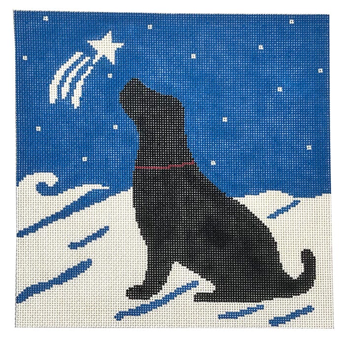 Shooting Star Black Lab