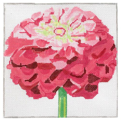 Simple Flowers 8" Pink Zinnia