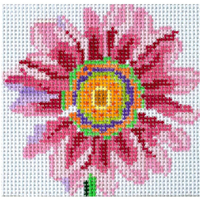 Simply Flowers 4" Dazzle Daisy Coaster
