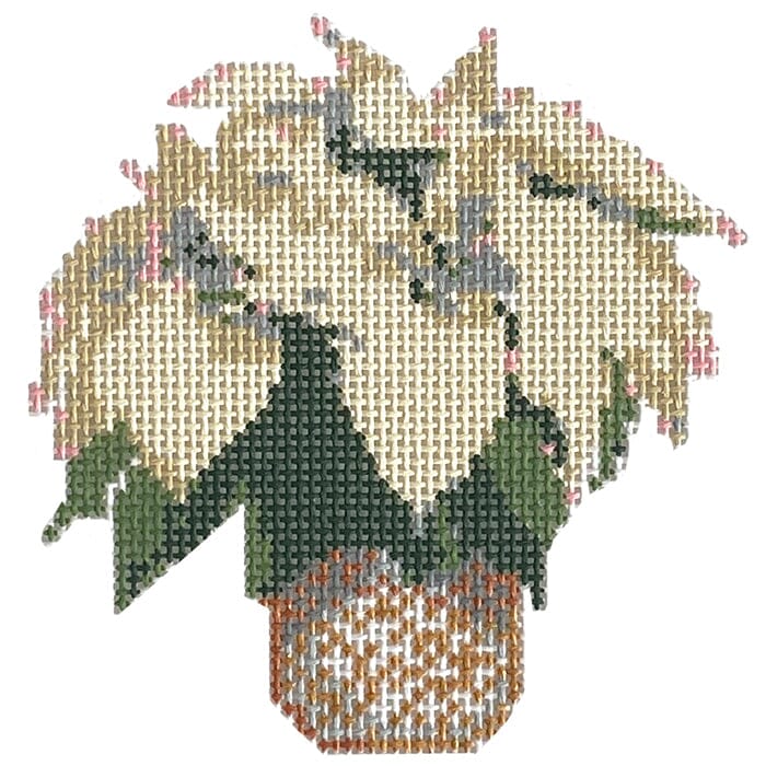 Small White Poinsettia