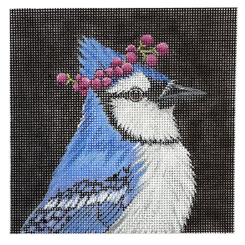 Smitty the Blue Jay