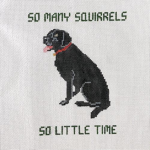 So Many Squirrels So Little Time - with Black Lab