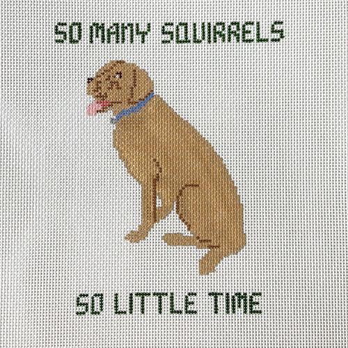 So Many Squirrels So Little Time - with Yellow Lab