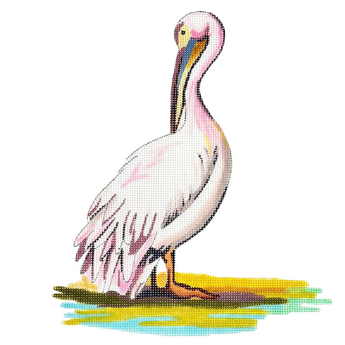 Pelican Illustration