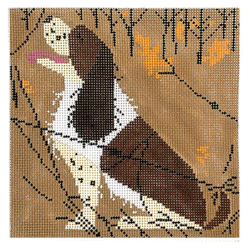 Springer Spaniel