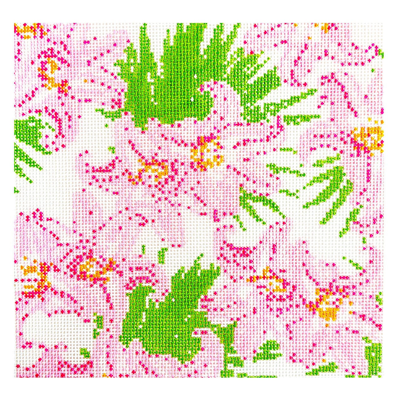 Stargazer Lilies 8x8