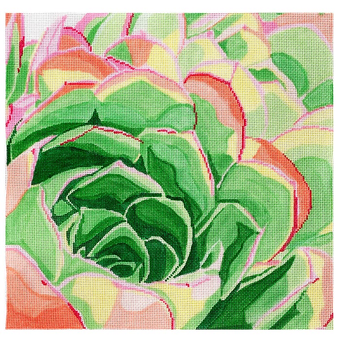 Succulent 14" Square