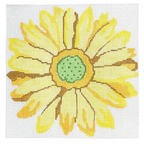 Summer Gerber Daisy