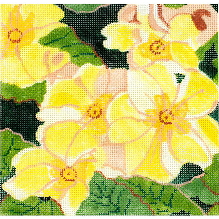 Summer Palette - Primrose