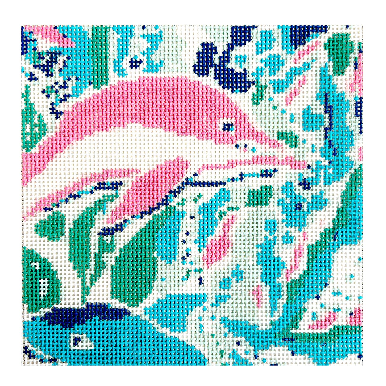 Sunnies Dolphin 8x8