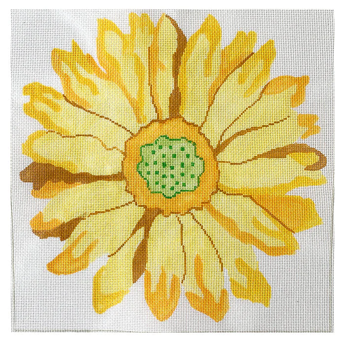Sunny Gerber Daisy