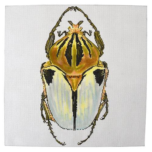 Big Bug - White and Gold