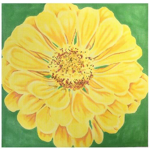 Canary Zinnia/Green Background