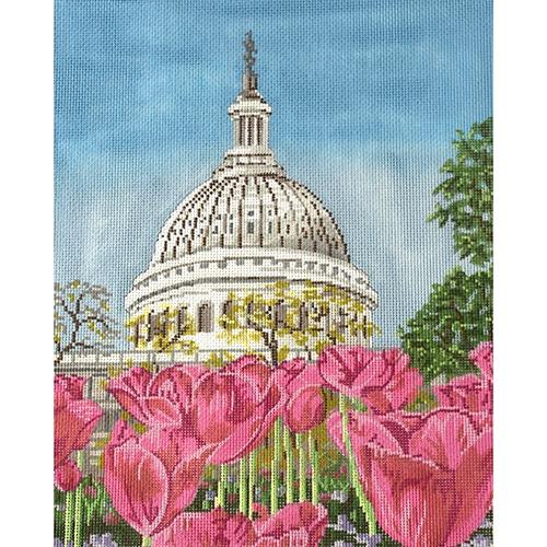 DC Street Scene