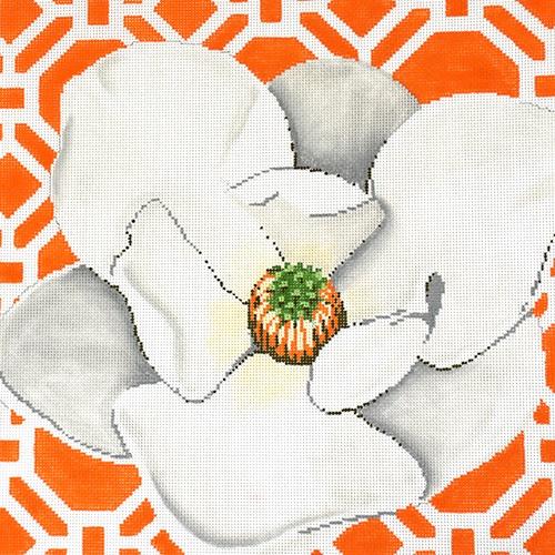 Magnolia on Tangerine