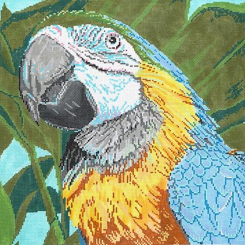 Parrot Blue/Yellow Macaw