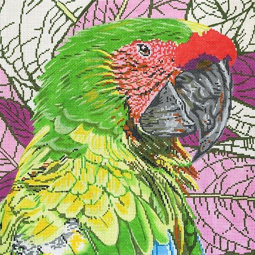 Parrot Buffon / Great Green Macaw