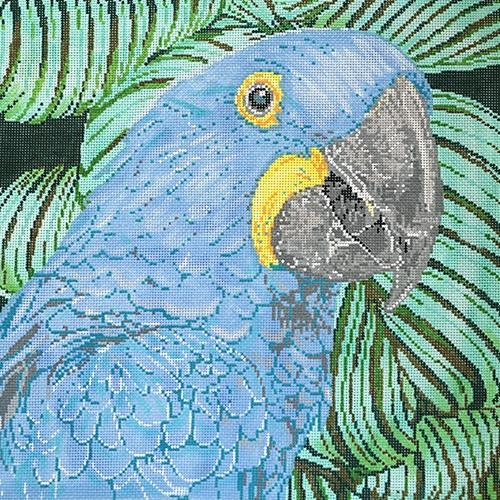 Parrot Hyacinth Macaw