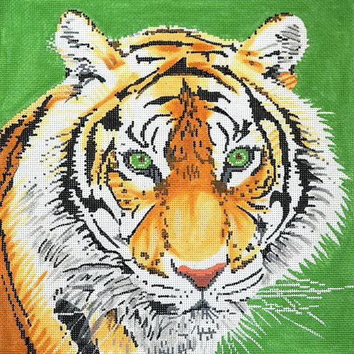 Tiger 13x13