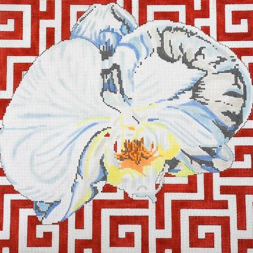 White Orchid on Terra Cotta