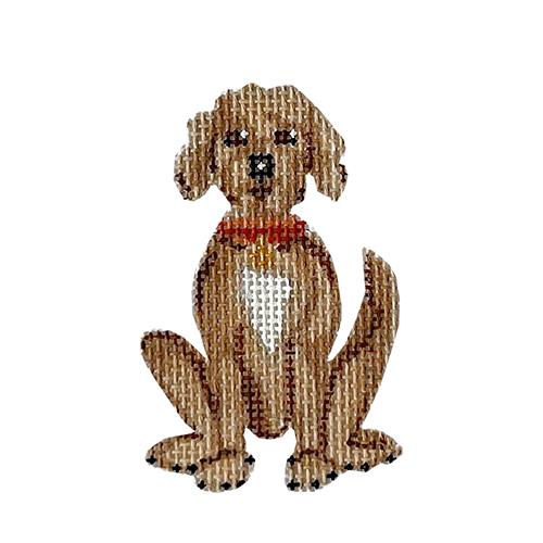 Cooper the Doodle