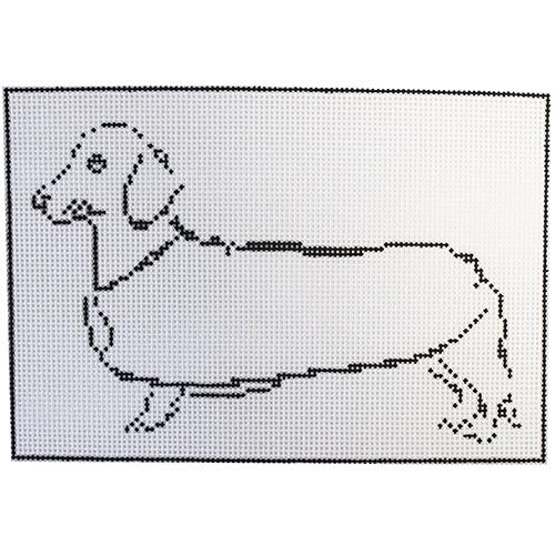 Dachshund