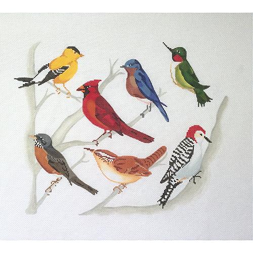 Ohio Birds on 18