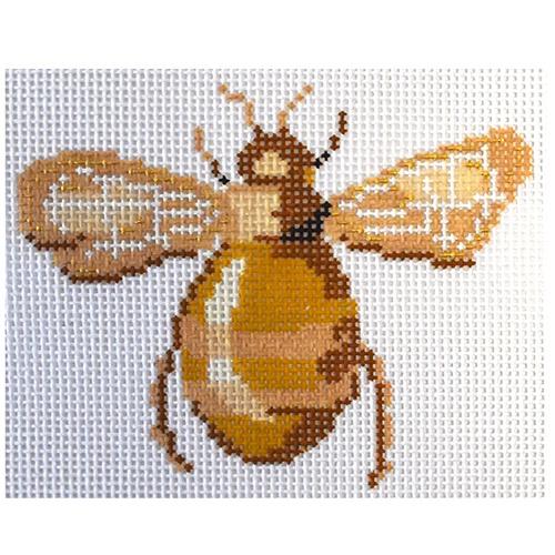 Scarab Collection - Yellow