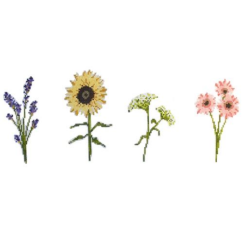 Wildflowers