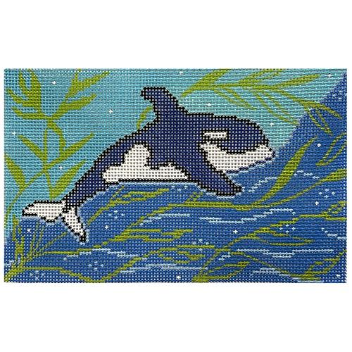 Blue Whale Swimming on 18