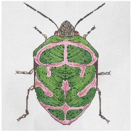Big Bug - Green & Pink