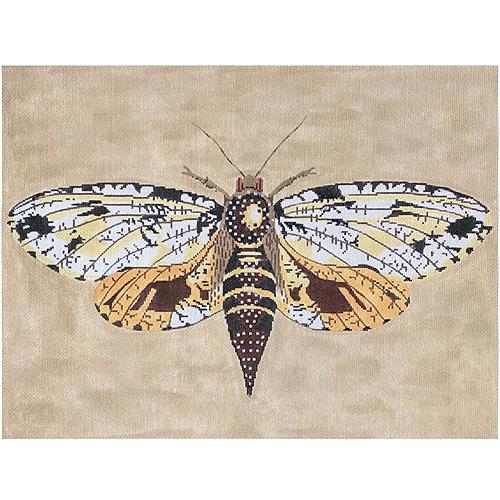 Moth - Brown/Yellow/Gold