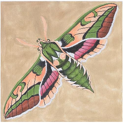 Moth - Green/Pink/Peach